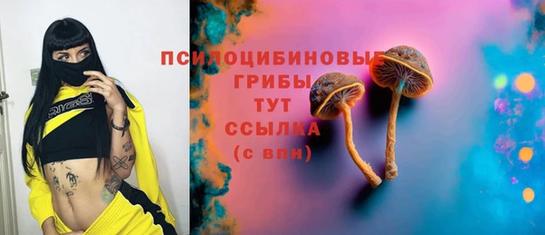 тгк Алзамай