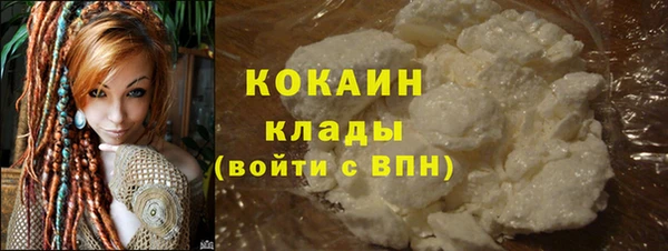 тгк Алзамай